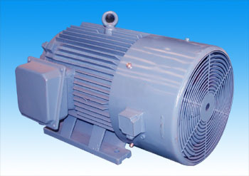 ��Ƶ���ٵ��